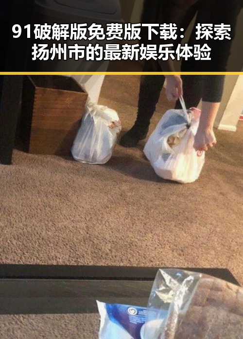 91破解版免费版下载：探索扬州市的最新娱乐体验