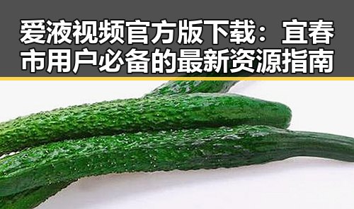 爱液视频官方版下载:宜春市用户必备的最新资源指南