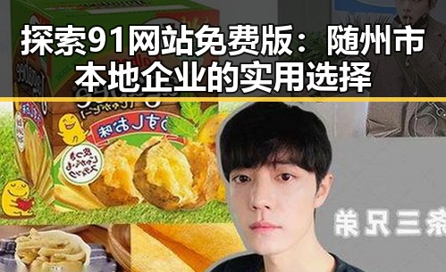 探索91网站免费版：随州市本地企业的实用选择