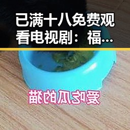 已满十八免费观看电视剧：福州市观众的新宠与关注点