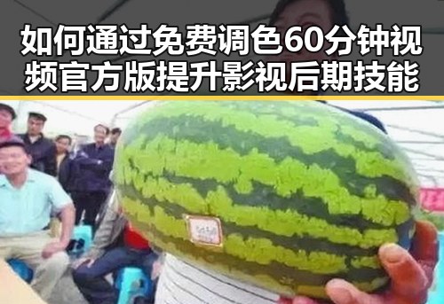 如何通过免费调色60分钟视频官方版提升影视后期技能