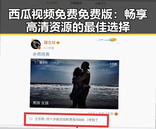 西瓜视频免费免费版:畅享高清资源的最佳选择