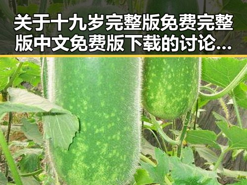 关于十九岁完整版免费完整版中文免费版下载的讨论与分析