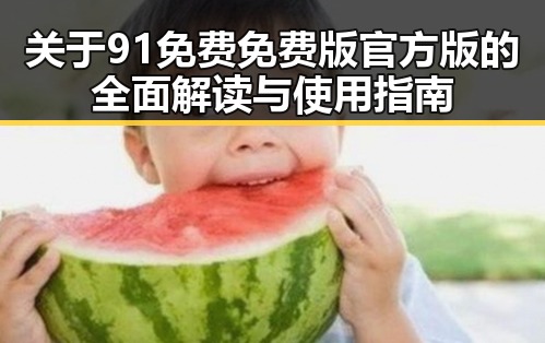关于91免费免费版官方版的全面解读与使用指南
