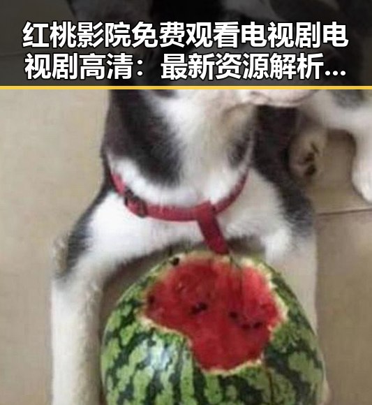 红桃影院免费观看电视剧电视剧高清：最新资源解析与使用指南