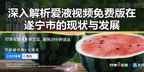 深入解析爱液视频免费版在遂宁市的现状与发展