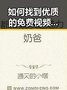 如何找到优质的免费视频免费版?2024年实用指南