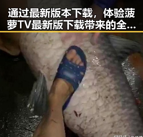 通过最新版本下载，体验菠萝TV最新版下载带来的全新娱乐体验
