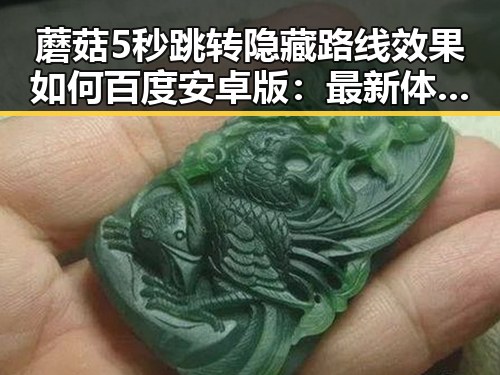 蘑菇5秒跳转隐藏路线效果如何百度安卓版:最新体验解析