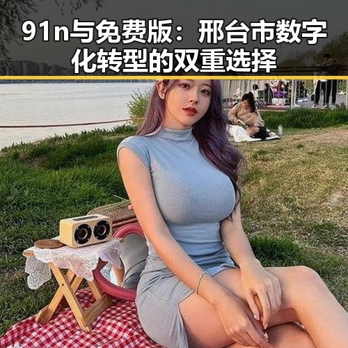 91n与免费版：邢台市数字化转型的双重选择