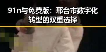 91n与免费版:邢台市数字化转型的双重选择