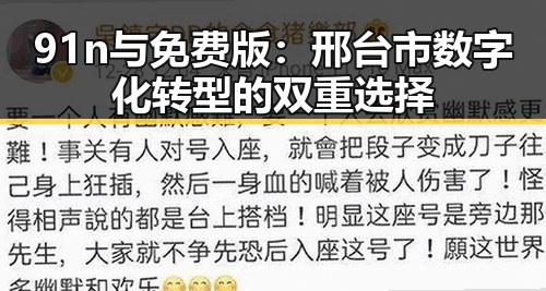 91n与免费版:邢台市数字化转型的双重选择