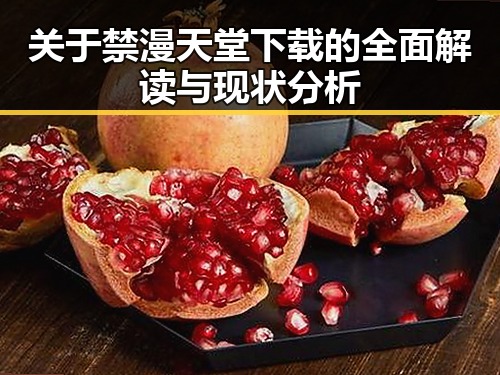 关于禁漫天堂下载的全面解读与现状分析
