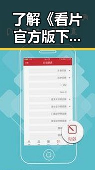 了解《看片官方版下载免费版》:全方位的精彩内容体验