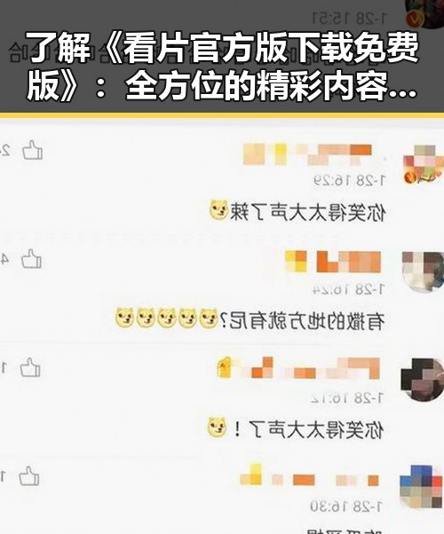 了解《看片官方版下载免费版》:全方位的精彩内容体验
