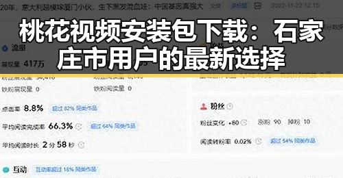 桃花视频安装包下载：石家庄市用户的最新选择
