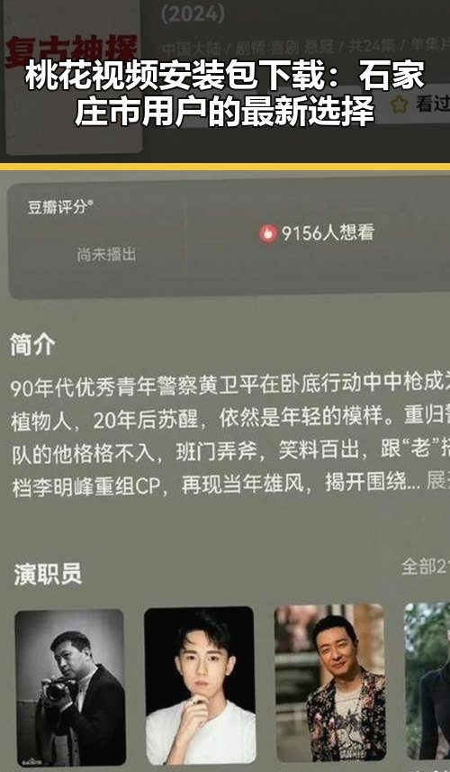 桃花视频安装包下载:石家庄市用户的最新选择