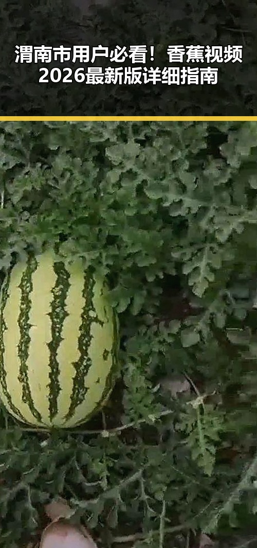 渭南市用户必看！香蕉视频2026最新版详细指南