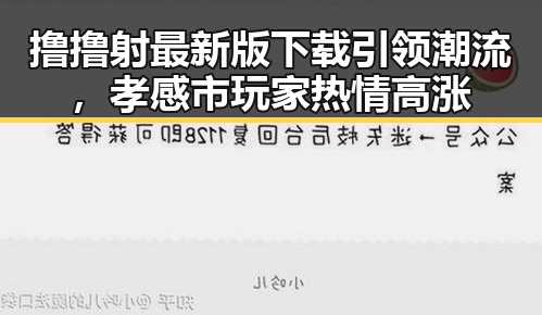 撸撸射最新版下载引领潮流,孝感市玩家热情高涨