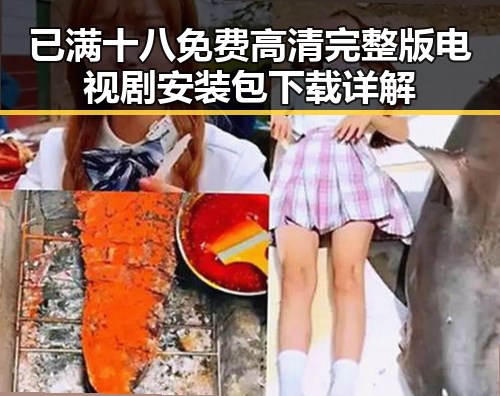 已满十八免费高清完整版电视剧安装包下载详解