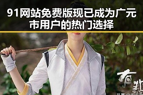 91网站免费版现已成为广元市用户的热门选择