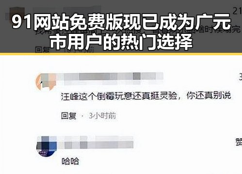 91网站免费版现已成为广元市用户的热门选择