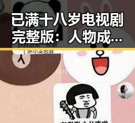 已满十八岁电视剧完整版:人物成长与剧情转折的精彩展现