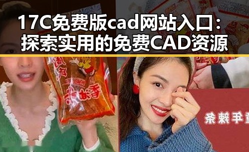 17C免费版cad网站入口：探索实用的免费CAD资源