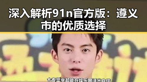 深入解析91n官方版：遵义市的优质选择