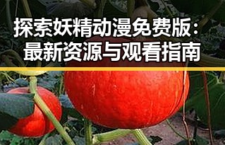 探索妖精动漫免费版：最新资源与观看指南