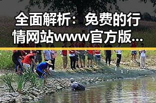 全面解析：免费的行情网站www官方版在襄阳市的最新应用与发展