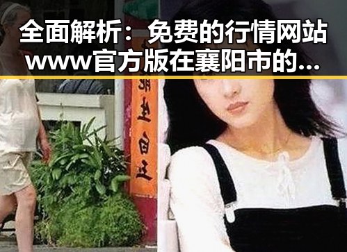 全面解析:免费的行情网站www官方版在襄阳市的最新应用与发展