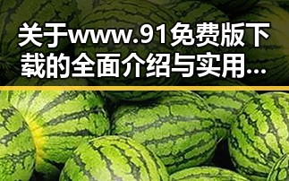 关于www.91免费版下载的全面介绍与实用指南