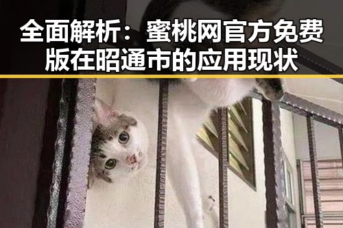 全面解析：蜜桃网官方免费版在昭通市的应用现状