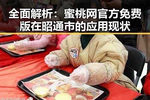 全面解析:蜜桃网官方免费版在昭通市的应用现状