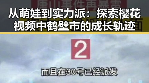 从萌娃到实力派：探索樱花视频中鹤壁市的成长轨迹