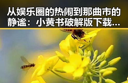 从娱乐圈的热闹到那曲市的静谧:小黄书破解版下载绿色版引发的关注变化
